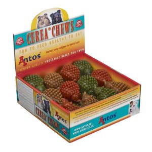 Dog treats hedgehog