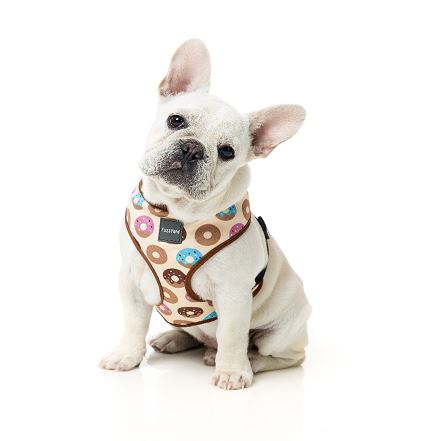 fuzzyard go nuts dog harness
