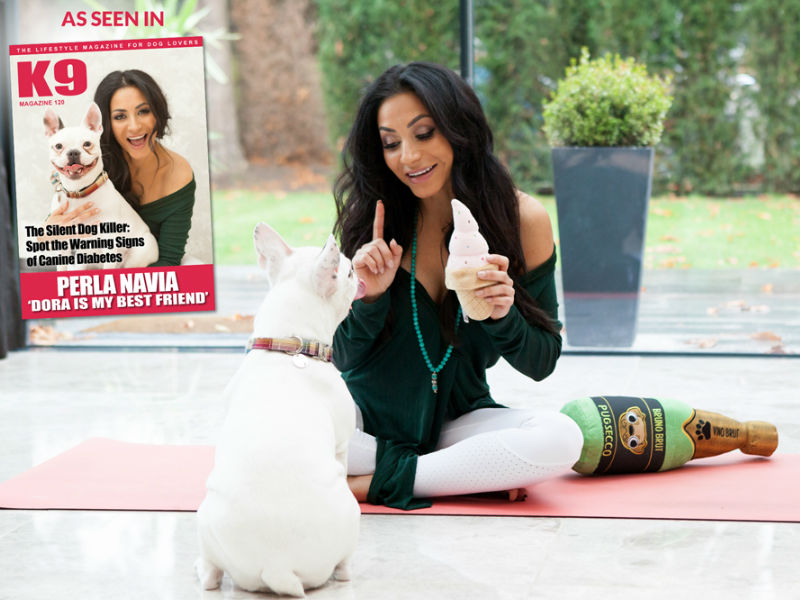 Do Dogs Really Need Toys? Do Dogs Really Need Toys?