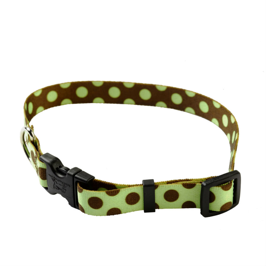 GREEN BROWN POLKA dog collar