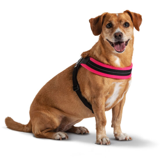 Tre Ponti Easy Fit Mesh Fluo Pink