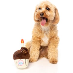 PlushToy Birthday Cupcake Dog Toy
