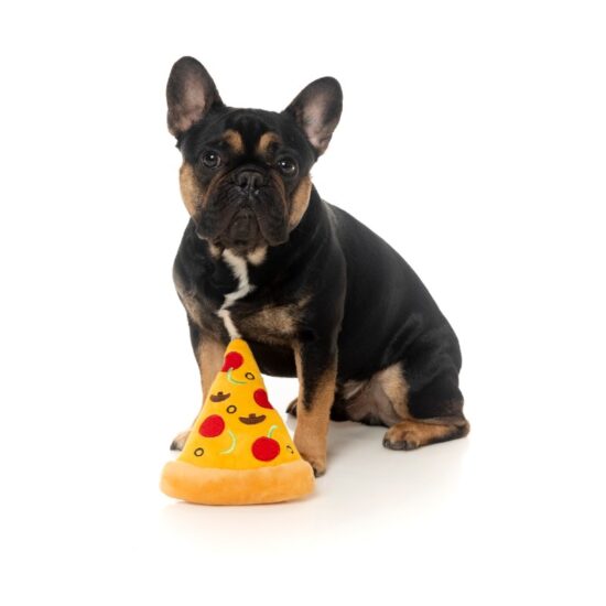 PlushToy Pizza Dog Toy