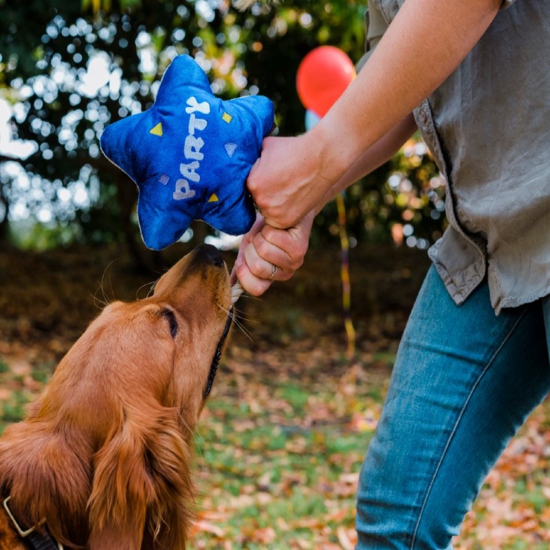 PLAY Party Time Dog Toy Balloon