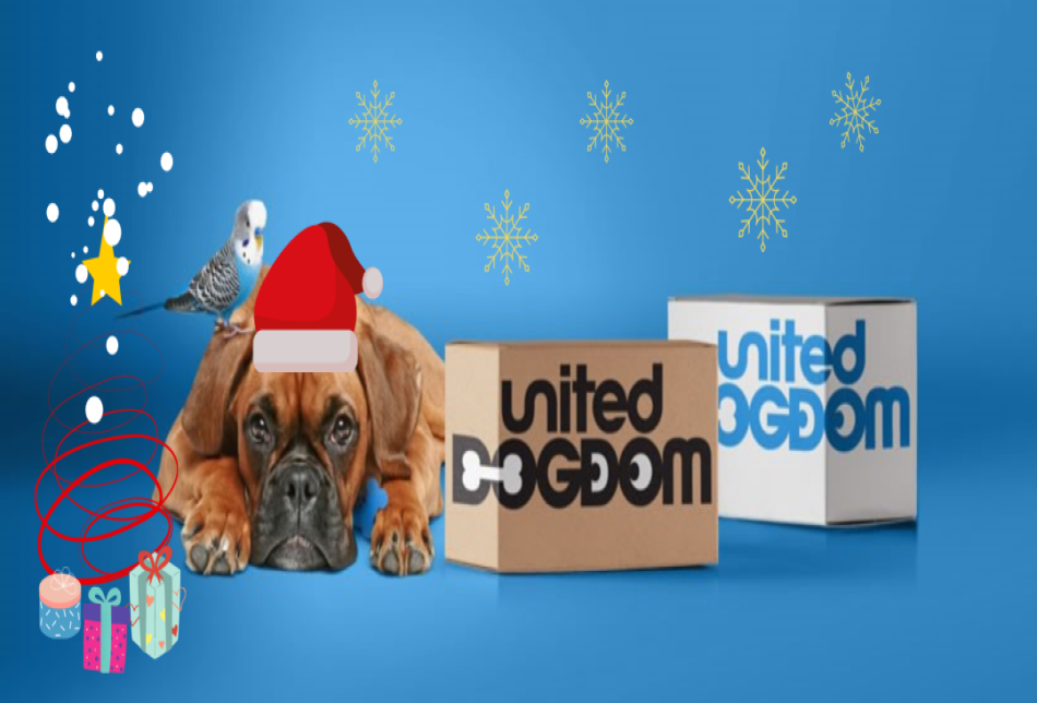 Christmas 2020 Gift Ideas for Dogs and Dog Lovers Christmas 2020 Gift Ideas for Dogs and Dog Lovers
