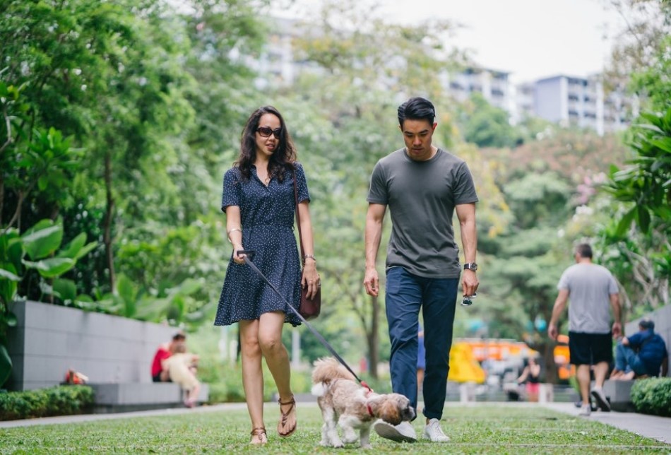 The Benefits of Owning and Walking a Dog